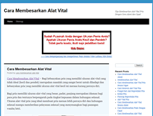 Tablet Screenshot of caramembesarkanalatvital.com
